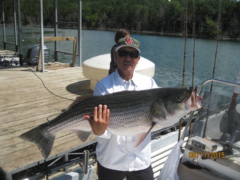 Nice Striped Bass
